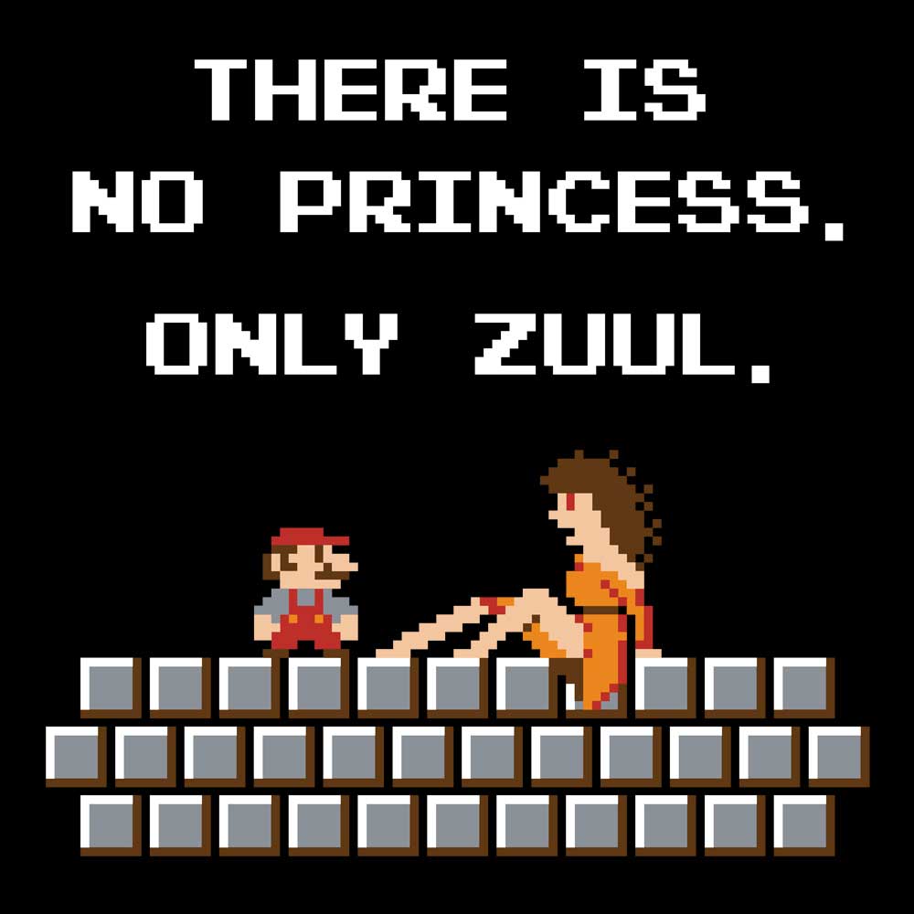 There is No Princess