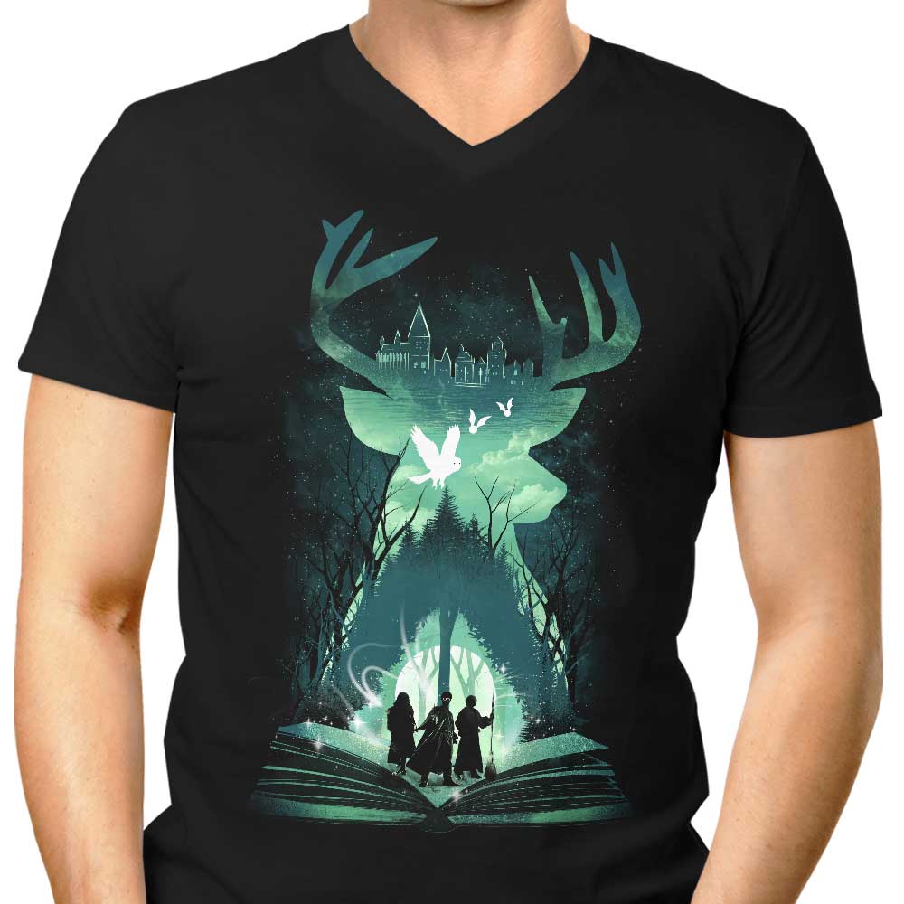 Book of Witchcraft and Wizardry - Men's V-Neck