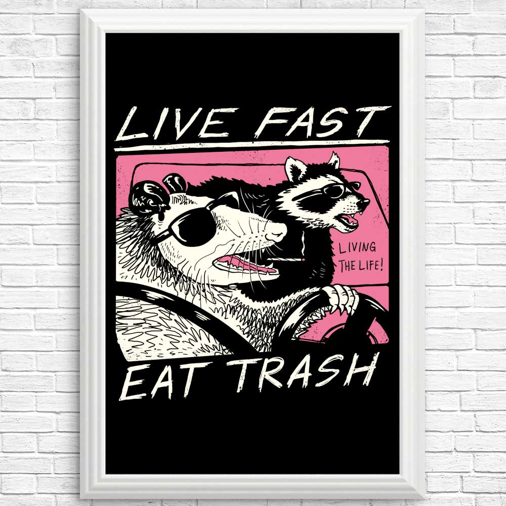 Live Fast, Eat Trash - Posters & Prints