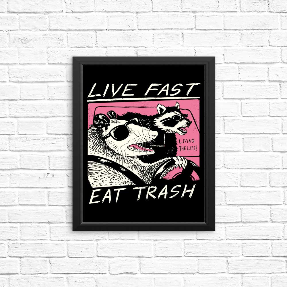 Live Fast, Eat Trash - Posters & Prints