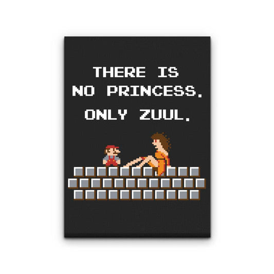 There is No Princess - Canvas Print