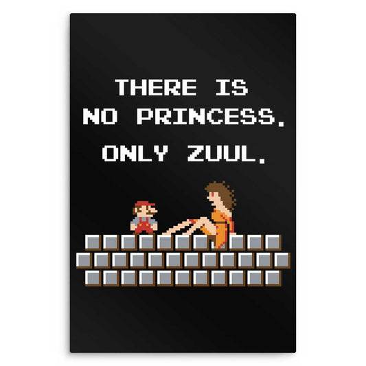 There is No Princess - Metal Print