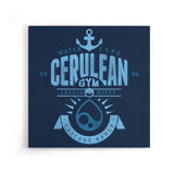 Cerulean City Gym - Canvas Print