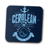 Cerulean City Gym - Coasters