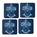 Cerulean City Gym - Coasters