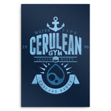 Cerulean City Gym - Metal Print