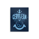 Cerulean City Gym - Metal Print