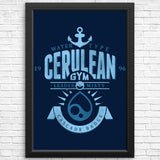 Cerulean City Gym - Posters & Prints