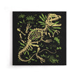 Dilophosaurus Fossils - Canvas Print