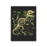 Dilophosaurus Fossils - Canvas Print