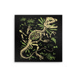 Dilophosaurus Fossils - Metal Print