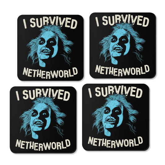 I Survived Netherworld - Coasters