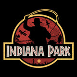 Indiana Park - Coasters