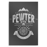 Pewter City Gym - Metal Print