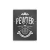 Pewter City Gym - Metal Print