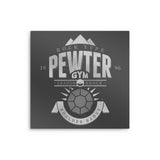 Pewter City Gym - Metal Print