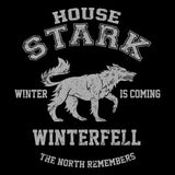 Winter is Coming - Posters & Prints